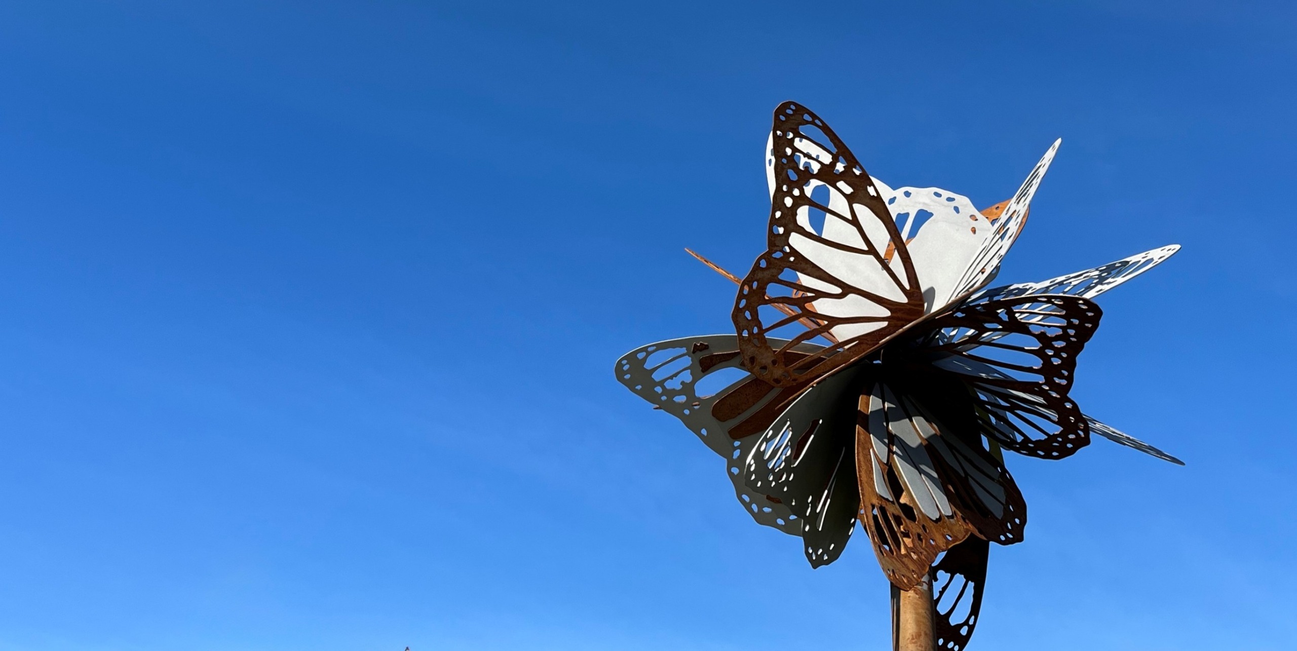 Metal butterfly sculpture on Thickson Road 